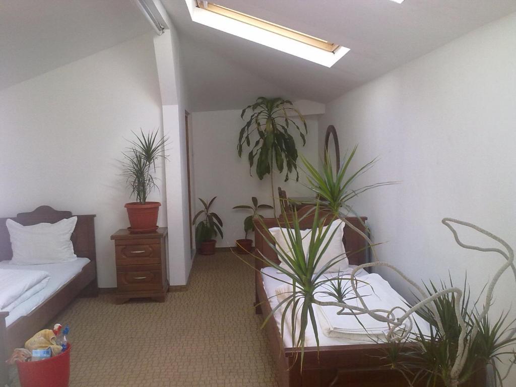 Guest House Todorini Kashti Koprivshtitsa Ruang foto
